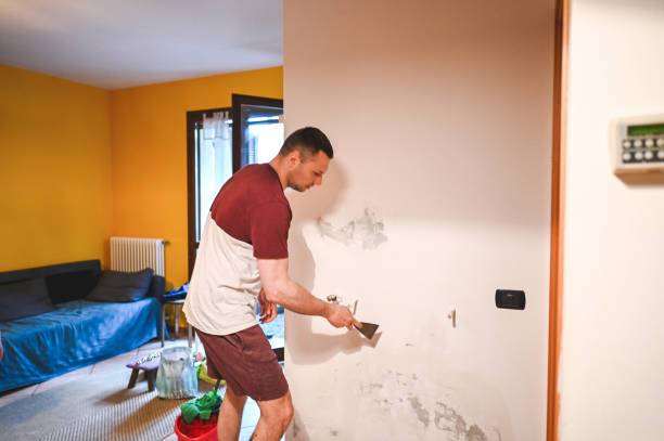 Best HVAC Mold Remediation in Loves Park, IL